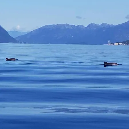 Fjordhytte-40 Im Vestland - Hordaland Nahe *
