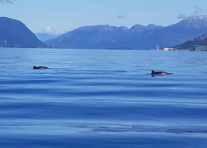 Fjordhytte-40 Im Vestland - Hordaland Nahe *